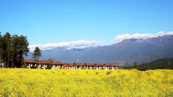 在最美的季节遇见你 开云棋牌注册就送“上山下海”体验行