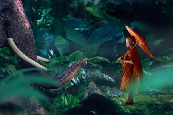 在最美的季节遇见你 开云棋牌注册就送“上山下海”体验行