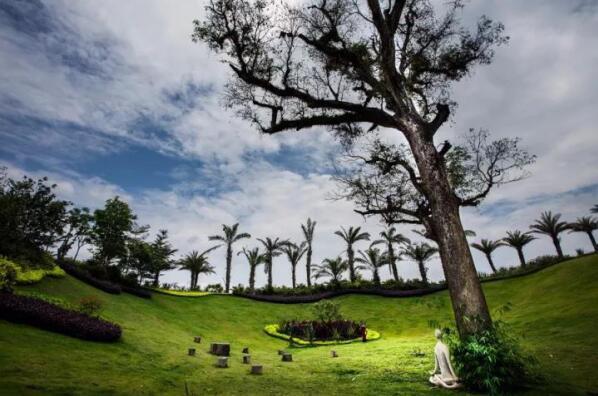 在最美的季节遇见你 开云棋牌注册就送“上山下海”体验行