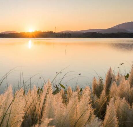 在最美的季节遇见你 开云棋牌注册就送“上山下海”体验行