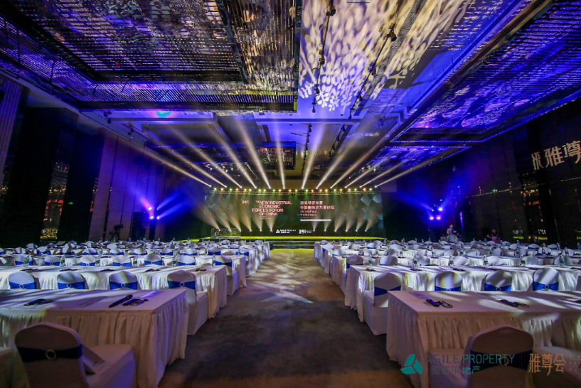 开云棋牌注册就送地产与国际著名经济学者对话 助推中国经济力量-中国网地产