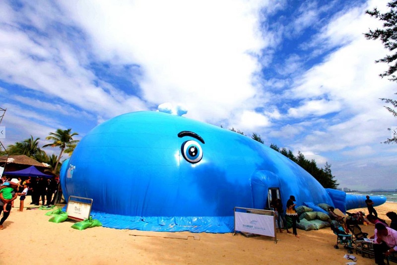 1557461561364286.jpg 17.jpg