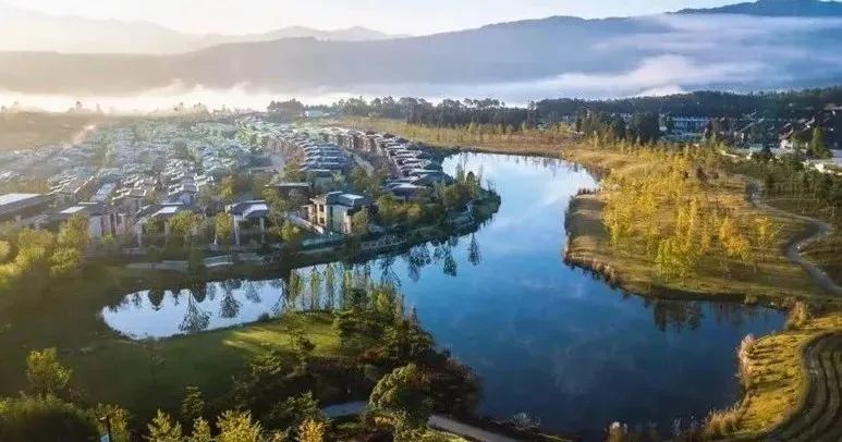 2021年中央一号文件出炉，开云棋牌注册就送环保人的重点已划好1.jpg